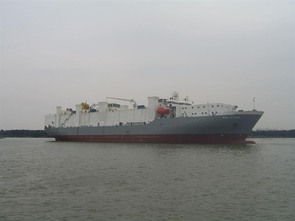 Ombouw Pearl Off Para