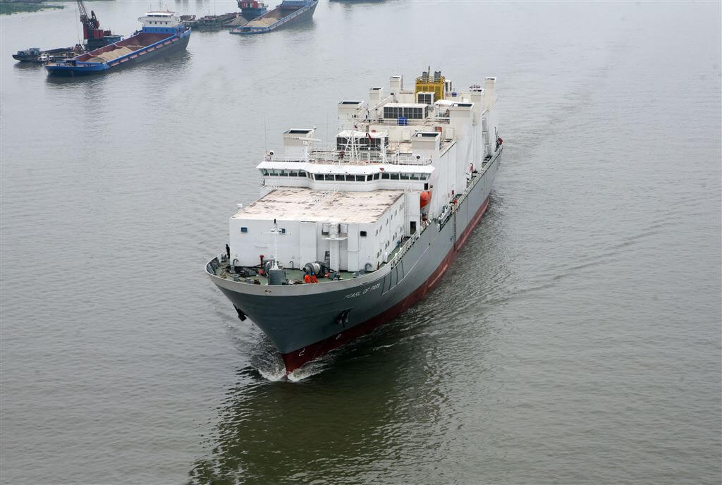 Ombouw Pearl Off Para